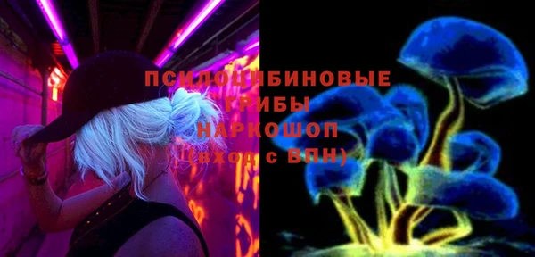 соль ск Алексин